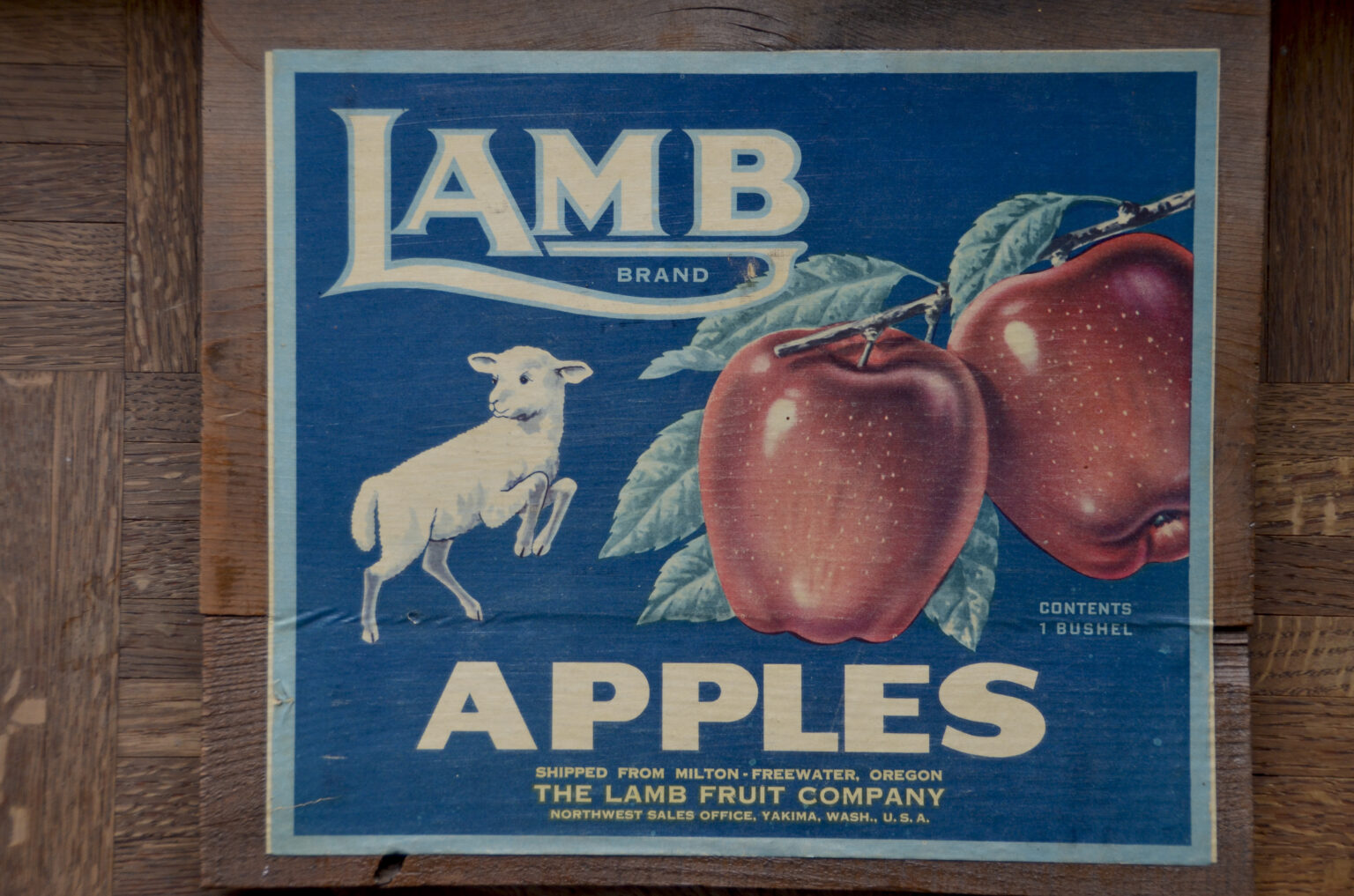 About Lamb Foundation Lamb Foundation